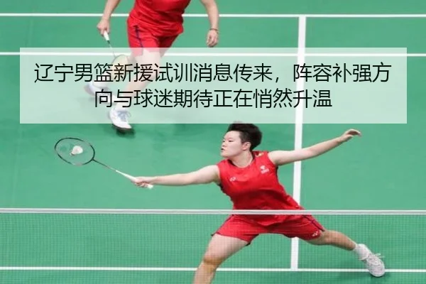 辽宁男篮新援试训消息传来，阵容补强方向与球迷期待正在悄然升温